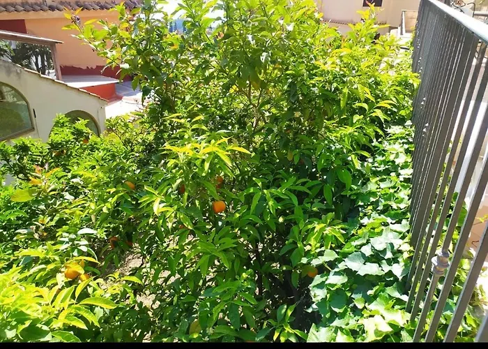 Marifra Garden *